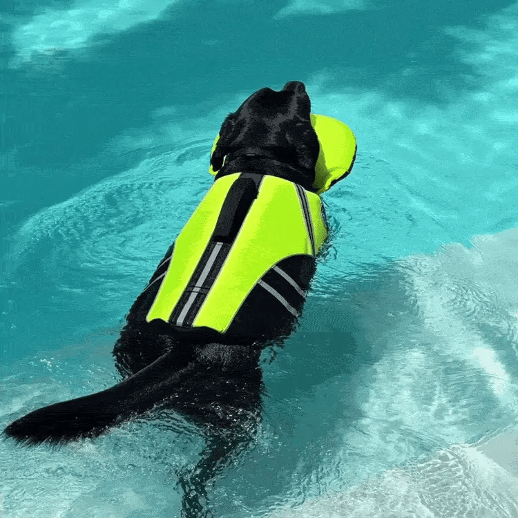 WavePaws™ Float Guard Vest